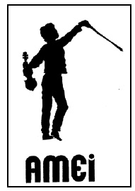 Logo AMEI